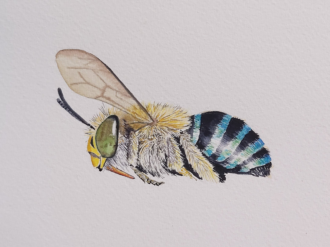 Keeping up with the bees with artist and scientist STEPHANIE DIX