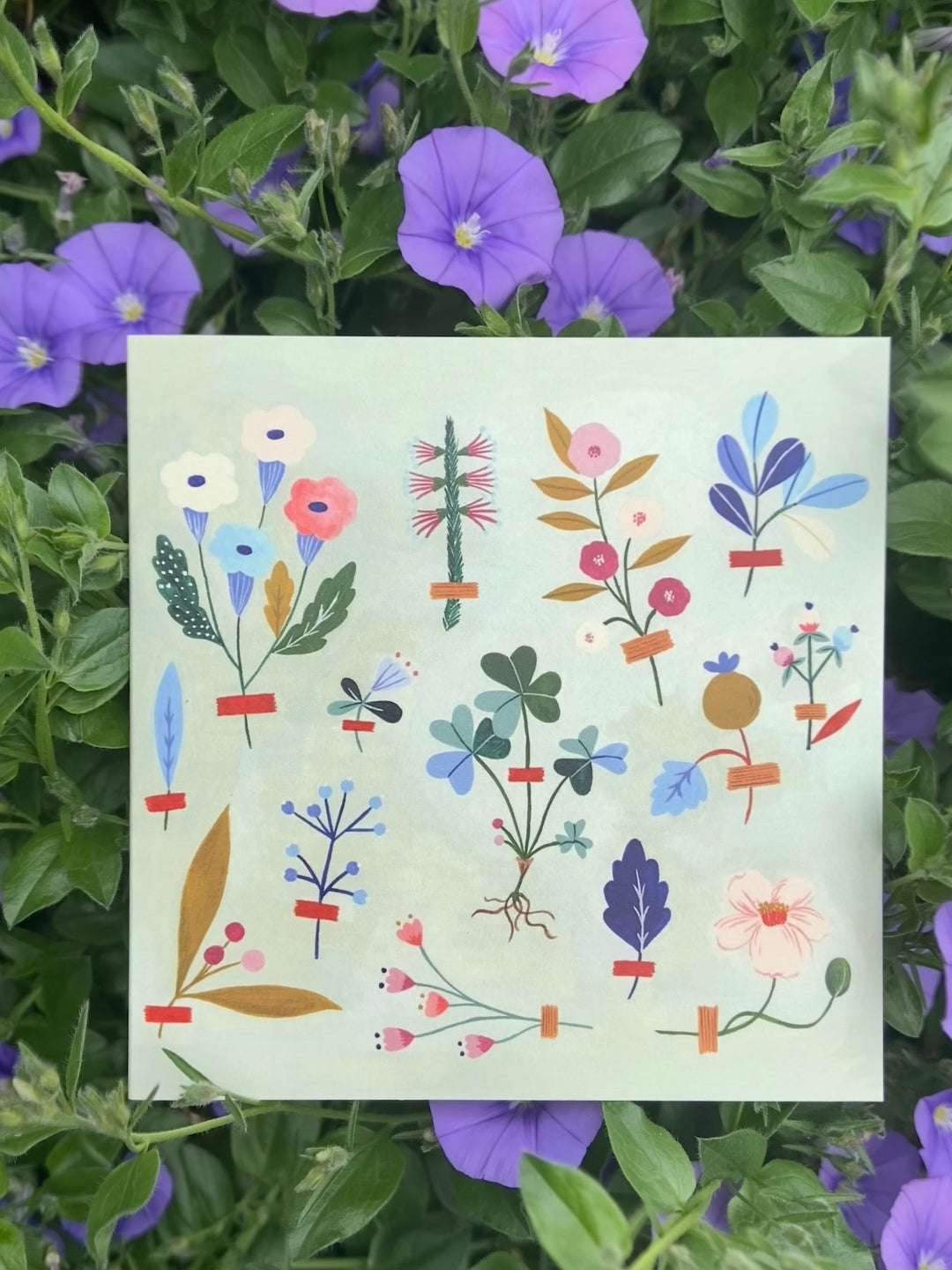 'Floral Connections' with illustrator FLORA WAYCOTT