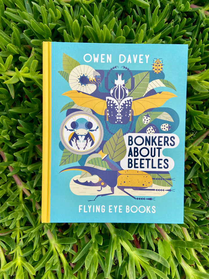 Bonkers About Beetles by Owen Davey