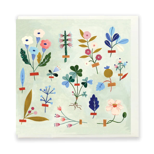 Tiny Plant Collector greeting card
